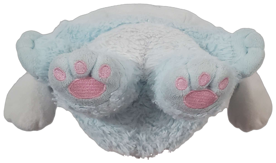 Kittymo Begging